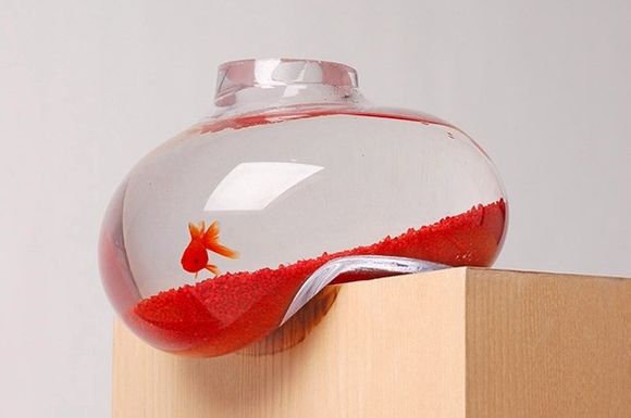 Bubble Tank by Psalt Design 