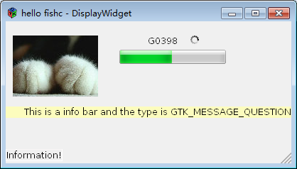 gtk_display_widget.png