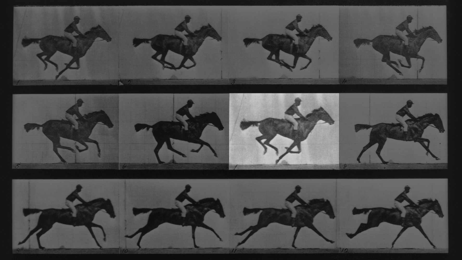 Muybridge_FirstFrame_768_HD_ZH-CN445868296.jpg