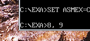 DH1.png