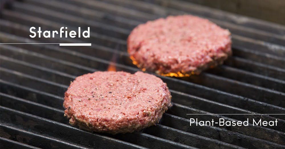 Plant-Based-Meat-Cover-1000.jpg