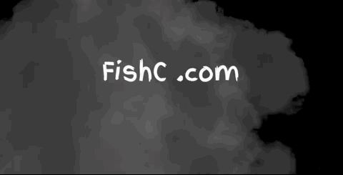 Nov-08-2019 19-04-20.gif