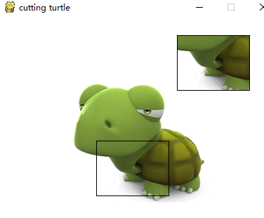 cut-turtle_1.PNG