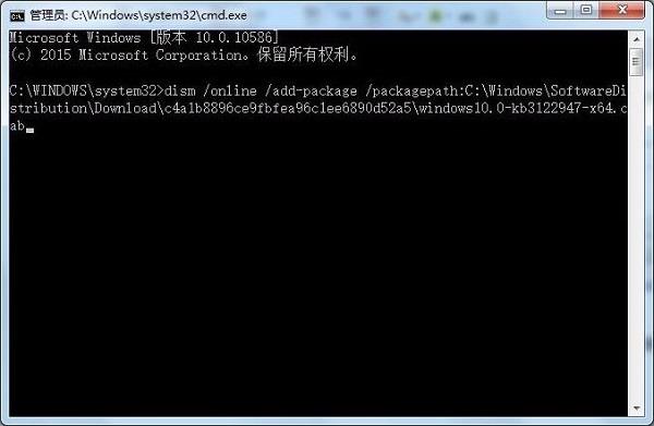 ڶʾ롰dism /online /add-package /packagepath:C:\Windows\SoftwareDistribu ...