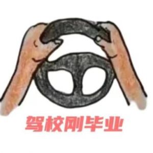 20794e878a14a05f010a99474485cb8.jpg