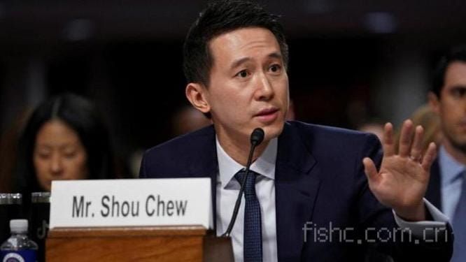 TikTok_s CEO Chew Shou Zi testifies during the_yyth.jpg