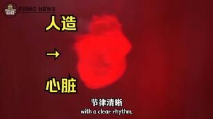 3d7a3c4135db467b0a1cabc010019f731da3be92.jpg@308w_174h.jpeg