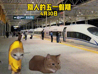 640.gif
