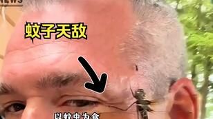 2e23fe12108c42f3e4e057a7c00991af5ae3ee3d.jpg@308w_174h.jpeg