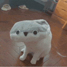 640 (1).gif