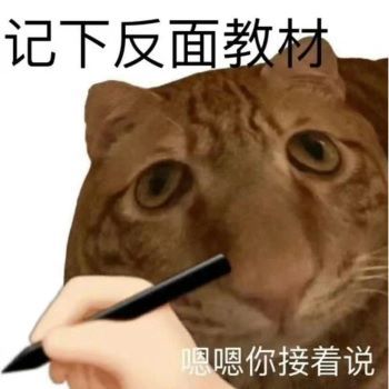 1876031656.jpg