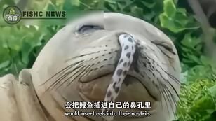 32fbb1e5279bbaaa7de82337da0b278544f637a7.jpg