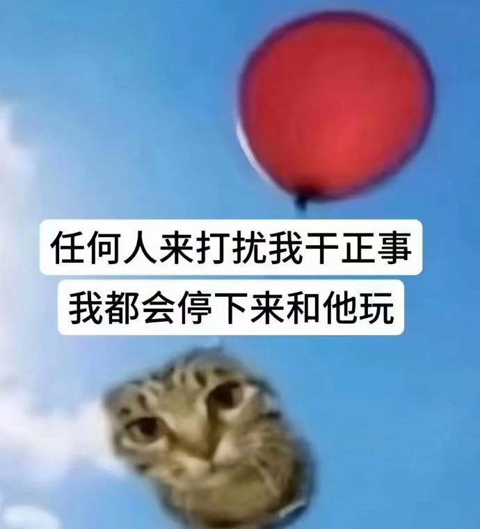 006QKpwKly1i24fne6kcjj30wr104n3u.jpg