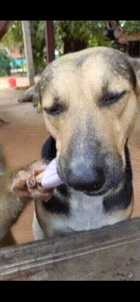 005VxiAYgy1i25s5yhwr2g305i0buqv7.gif