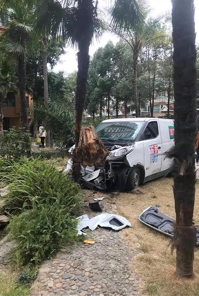 527924571.jpg