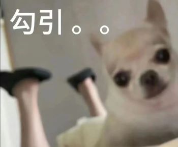 16003608.jpg