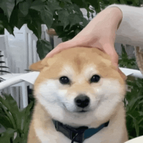 biu.gif