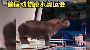 6411a8b65989a26e9e6c0a8e25068801516d572d.jpg@308w_174h.jpeg