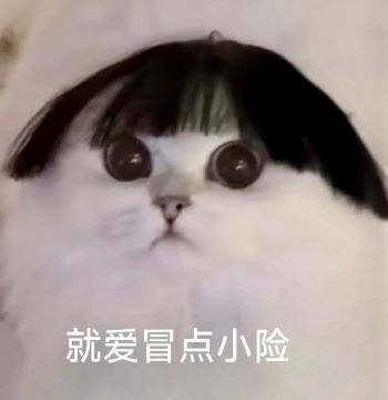 1601685964.jpg