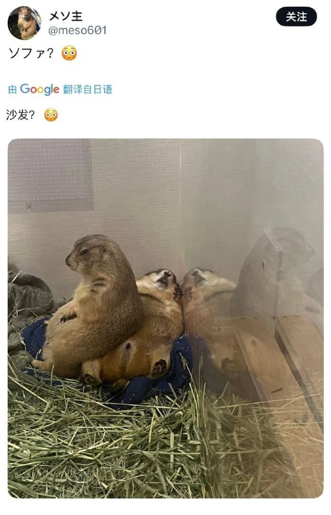 436987001.jpg