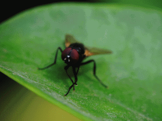 3893472e-cc4a-44c0-98bb-9eca3a9057ea.gif
