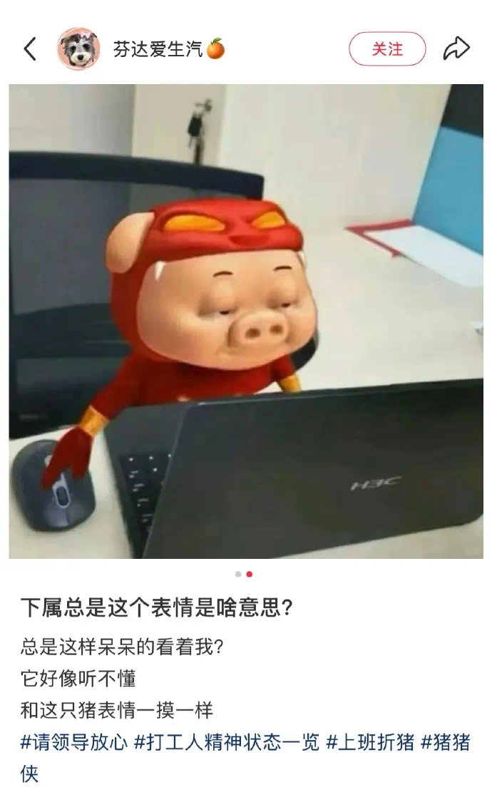 739764636.jpg