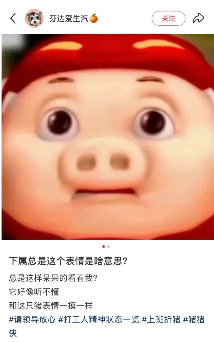 550059133.jpg