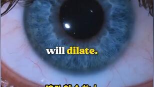 2f3fd43cc177e669b4af92024d285da153d6f80a.jpg