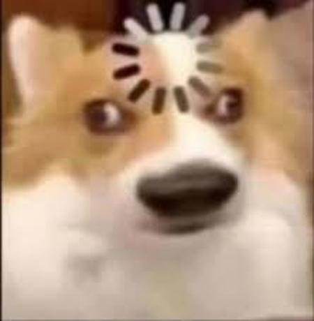 images.jpg