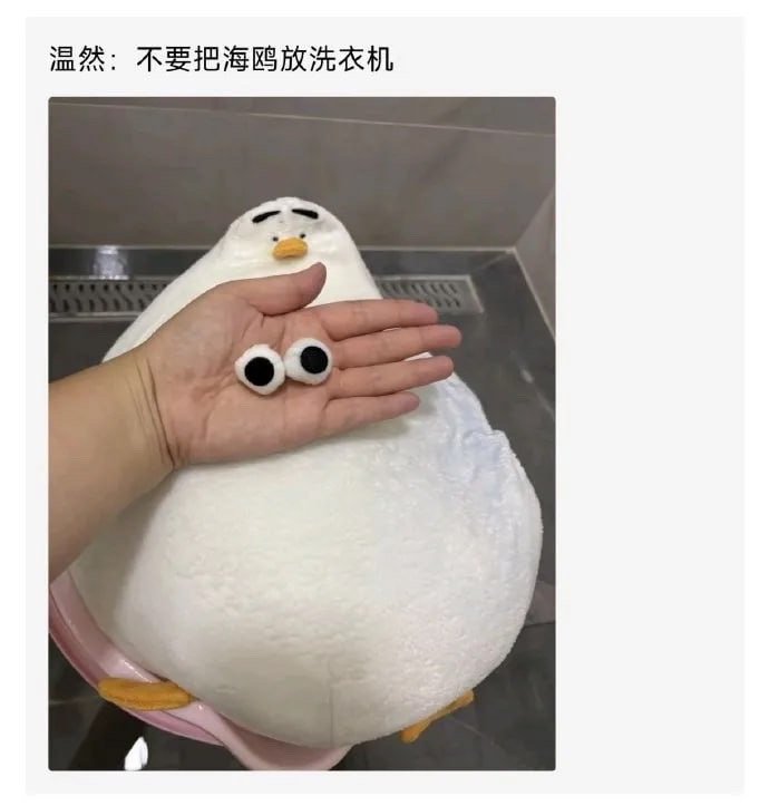 006WuOsAgy1i3dkt0gajoj30j60k3dgm.jpg