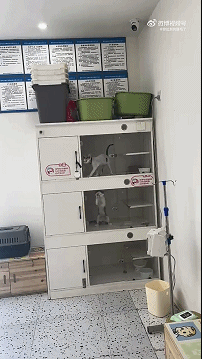640 (4).gif