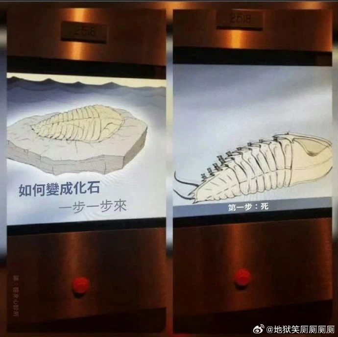 1008274400.jpg