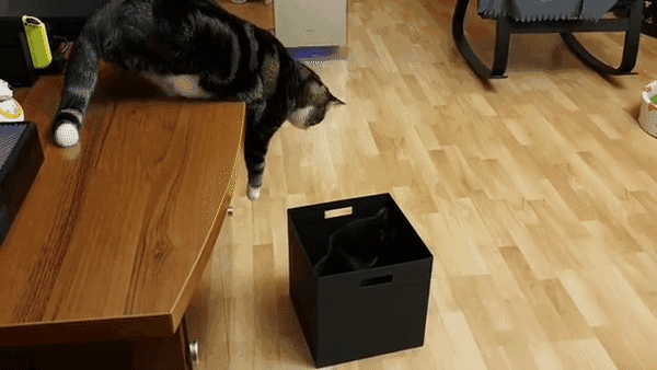 640 (1).gif