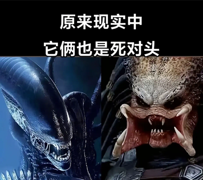 1065509670.png