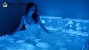 502e9c604251a40efb05e931e9bf0b936201699e.jpg@308w_174h.jpeg