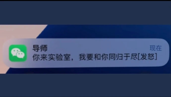 231930984.jpg