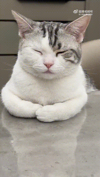 640 (3).gif