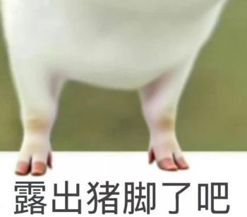 1014807364.jpg