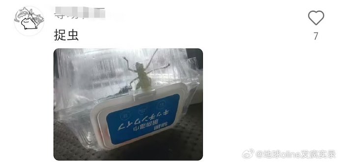 006VUYs3gy1i55g0l46arj30y00g80tq.jpg