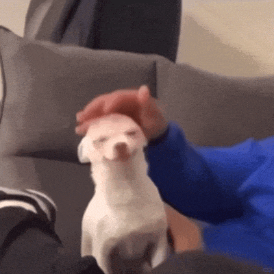 640 (3).gif