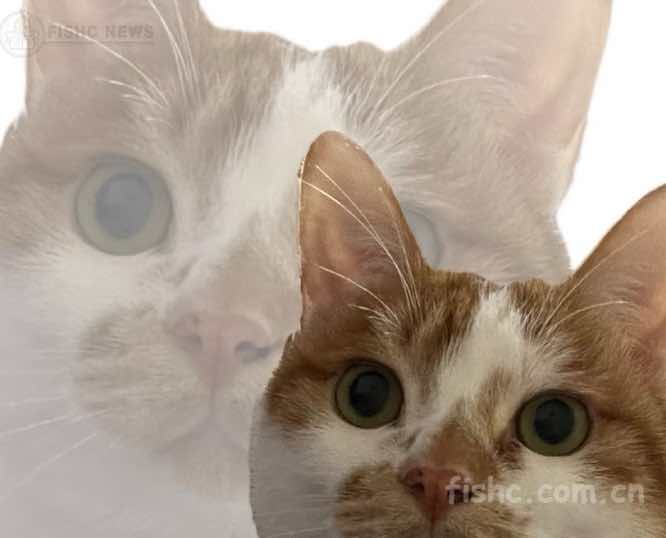 007HcfBigy1i58qkzaudaj30us0rxn1a.jpg