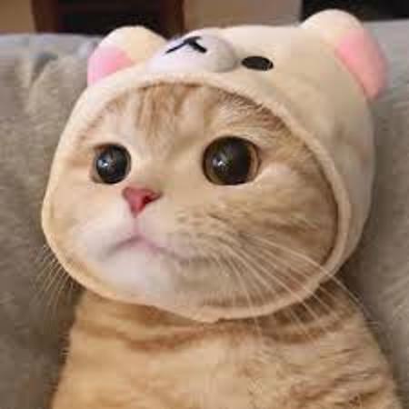 images.jpg