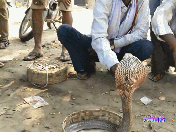 a8c0-6cccb3c01158950dbb1870ad63aa65dd.gif