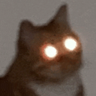 2066563255.png