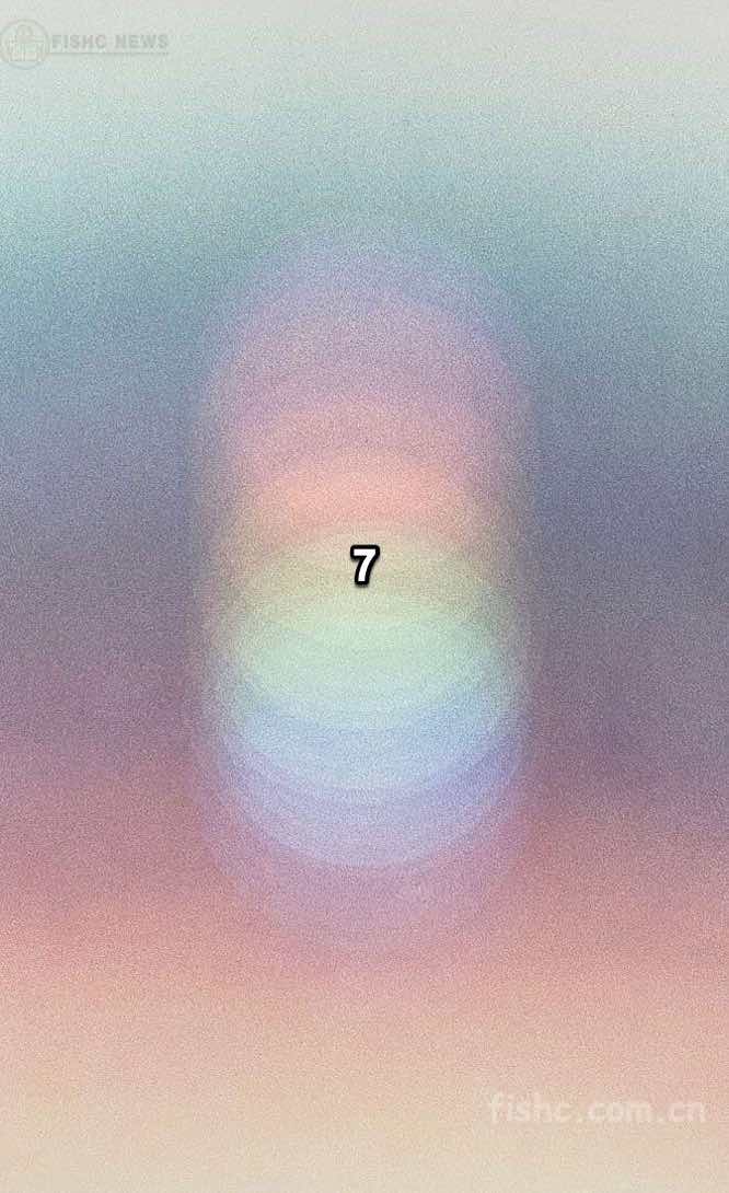 07.jpeg
