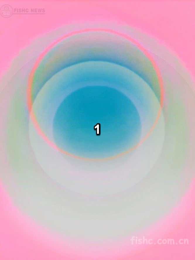 01.jpeg