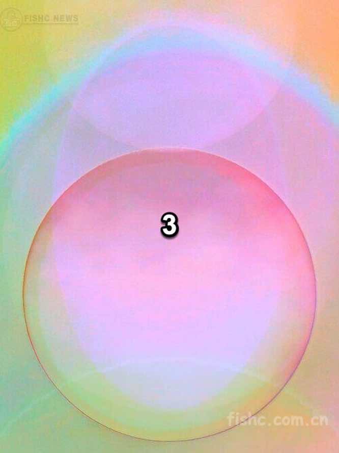 03.jpeg