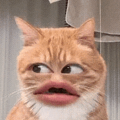 u.gif