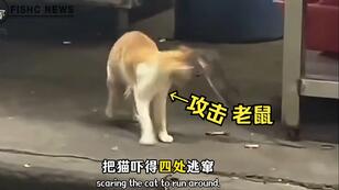 3c604fd0b41a0f4a35e1ecb602d3c73e7361be87.jpg