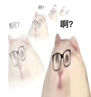 126802503.jpg